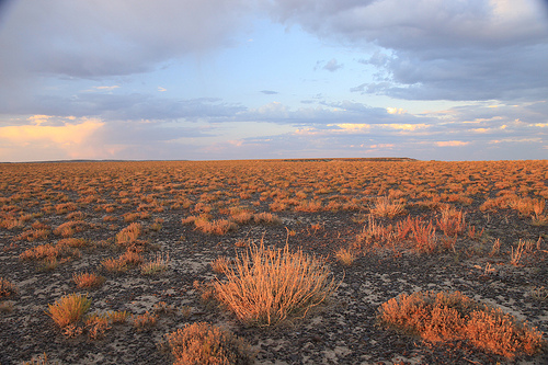 Sunset on the sagebrush ocean.  Photo: Flikr, Trekok.