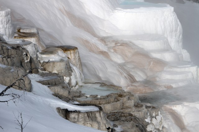 Canary Spring with snow in the foreground and white travertine forming the terraces. Photo Credit: NPS.