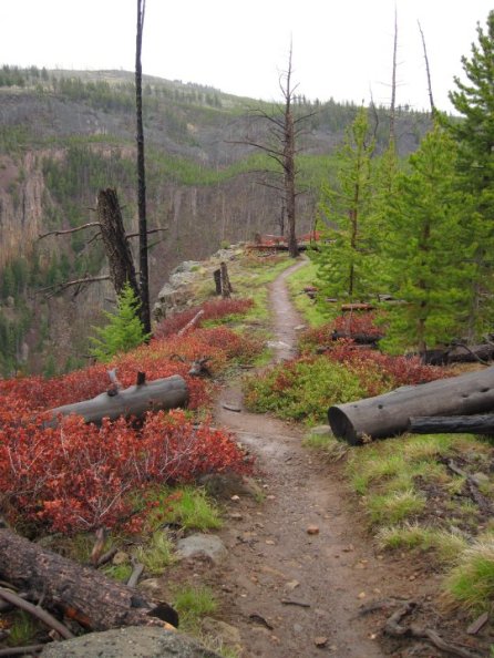 29735_770210240345_3437632_n