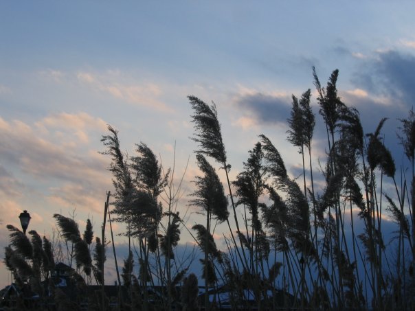 10399638_605178235805_8923_n