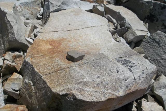 380502_10100662909430985_1530528062_n