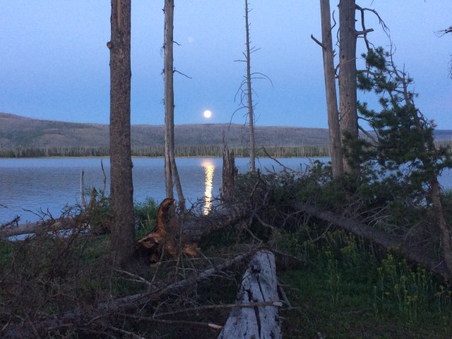 Moonrise, South Arm