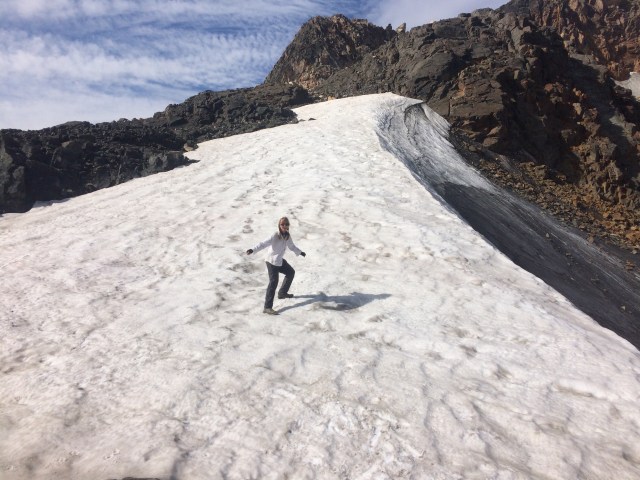 Grasshopper Glacier, a shadow of its former self