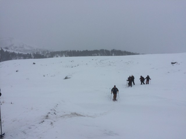 Snowshoeing Lamar Valley 