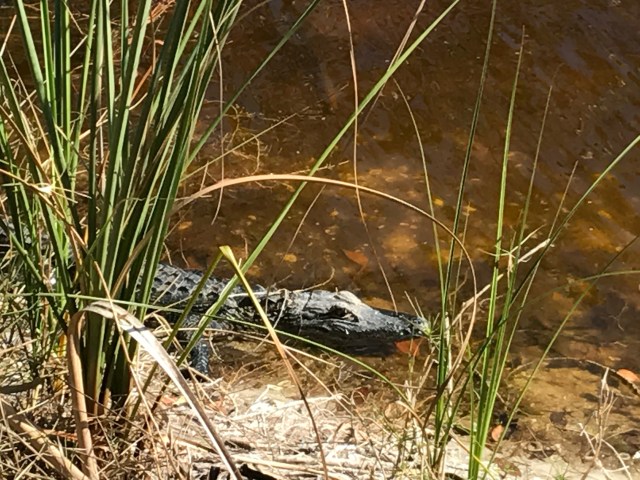 Photo Mar 08, 3 24 09 PM