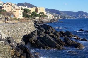 12471519_10102808874165455_8090363057788247511_o