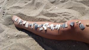 12473532_10102951963528225_1725728255492340261_o