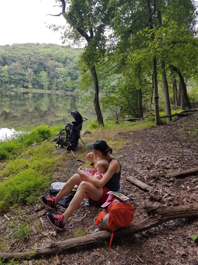 17bad54a-a3be-4fbc-9f29-e1574a6a3d22