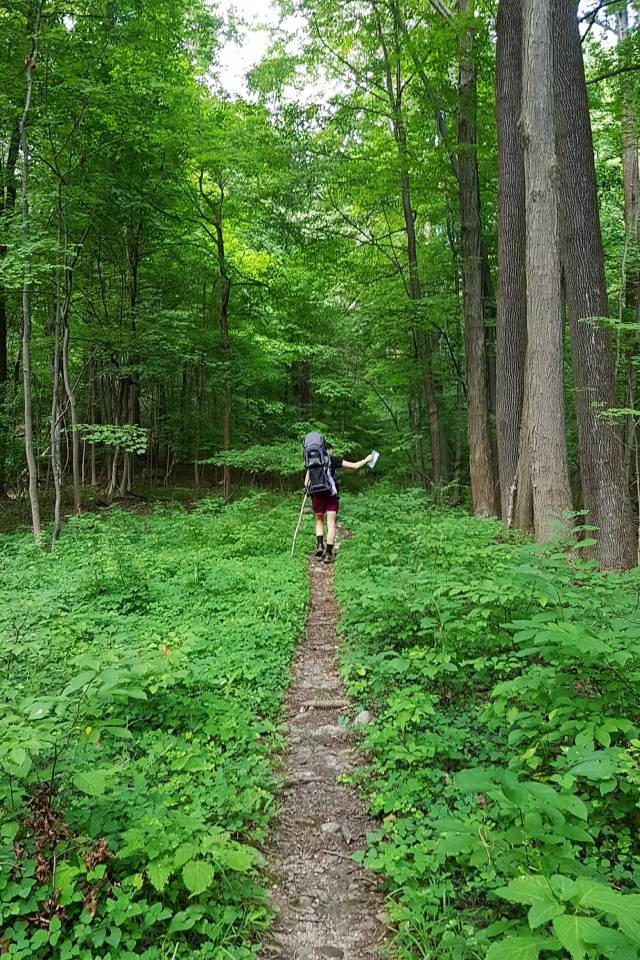 40157739_10156801471488092_8590720025554321408_o